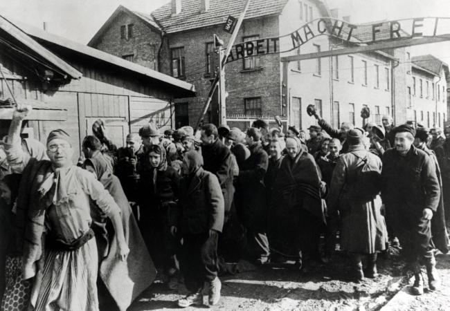 Auschwitz liberation 1945 wikimedia commons