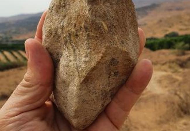 Bifacial stone from Ubeidiya Formation Credit Omry Barzilai