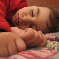 Alessandro Zangrilli own work Wikimedia