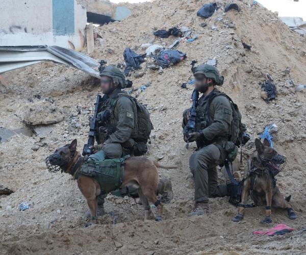 IDF troops and canines IDF photo
