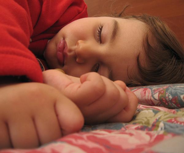 Alessandro Zangrilli own work Wikimedia