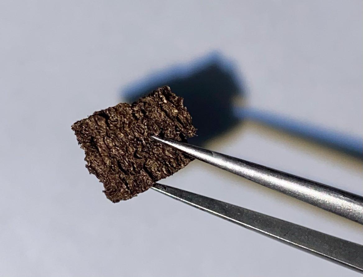 Nanocoated sponge Northwestern University photo
