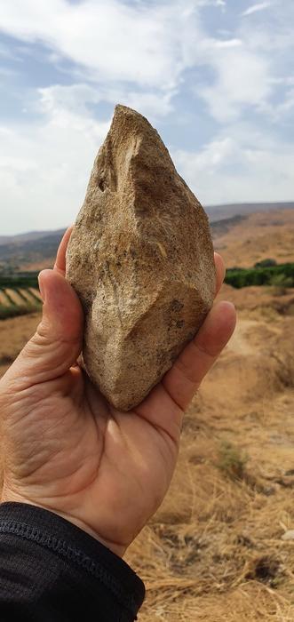 Bifacial stone from Ubeidiya Formation Credit Omry Barzilai