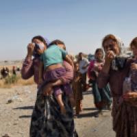 Yazidi families fleeing DAESH