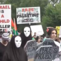 Anti Israel Protest Across United States Colleges and Universities