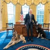 Joseph Biden White House Photo