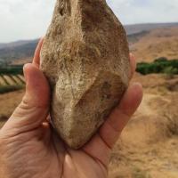 Bifacial stone from Ubeidiya Formation Credit Omry Barzilai